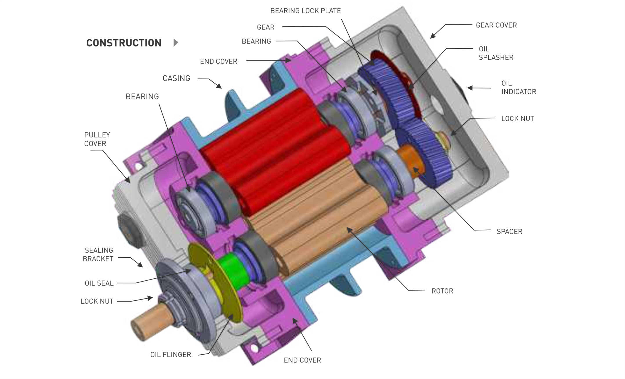 Rotary Twin Lobe Blower Construction